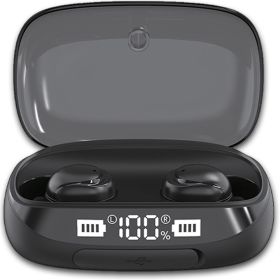 TWS True Bluetooth 5.0 Wireless Earbuds with 2000mAh Charging Case (Color: Black)